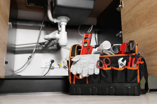 Best Local Plumber Services  in Park Rapids, MN